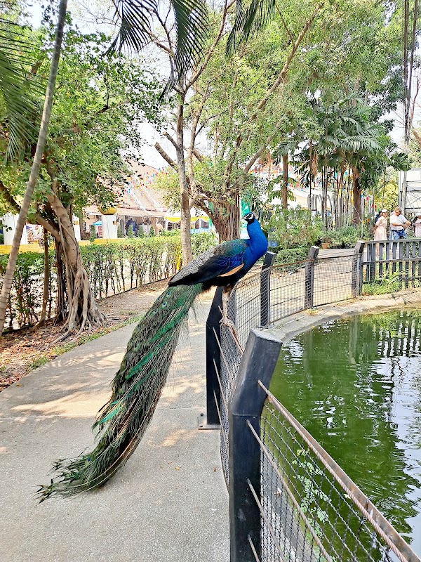 Chainat Bird Park 2