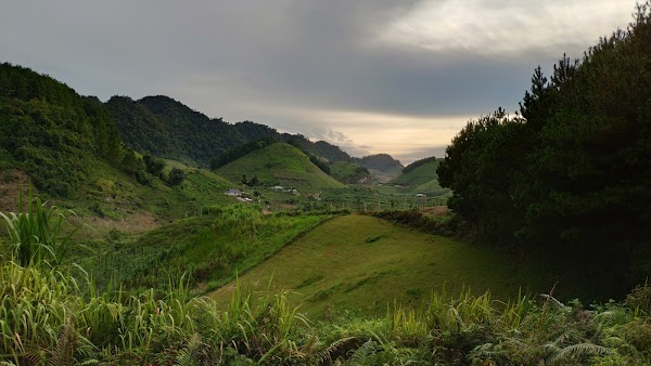 Hua Tạt 1