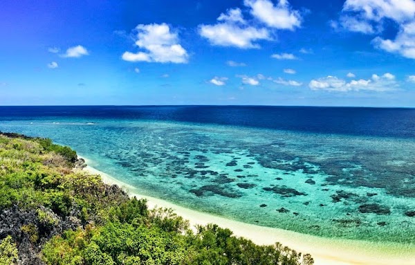 Apo Reef Natural Park 4