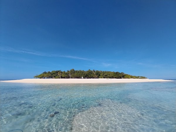Apo Reef Natural Park 3