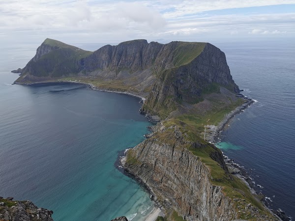 Håen