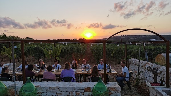 Wine Experience Vigna il Castagno