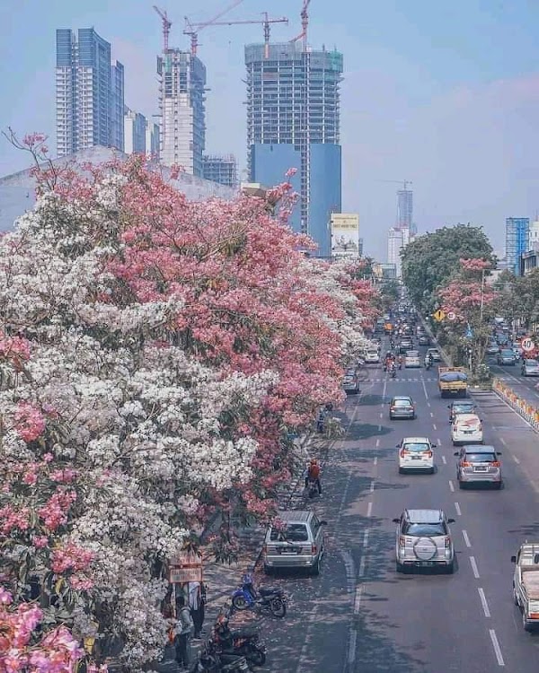 Surabaya 4