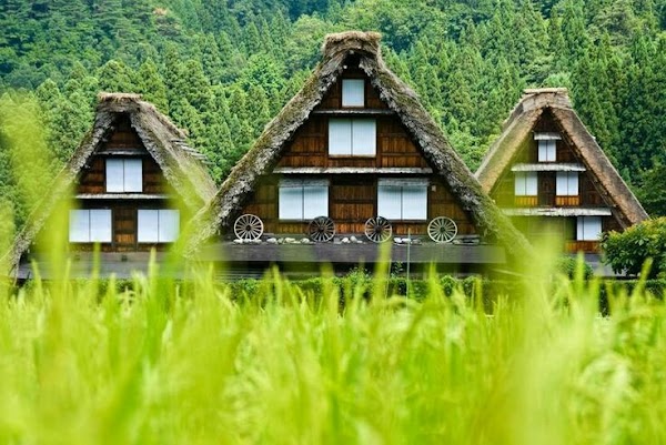 Shirakawa 5