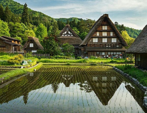 Shirakawa 4