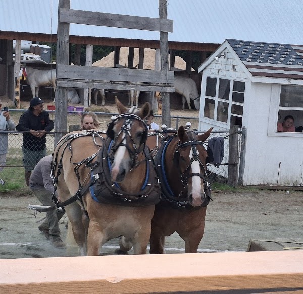 Blue Hill Fairgrounds