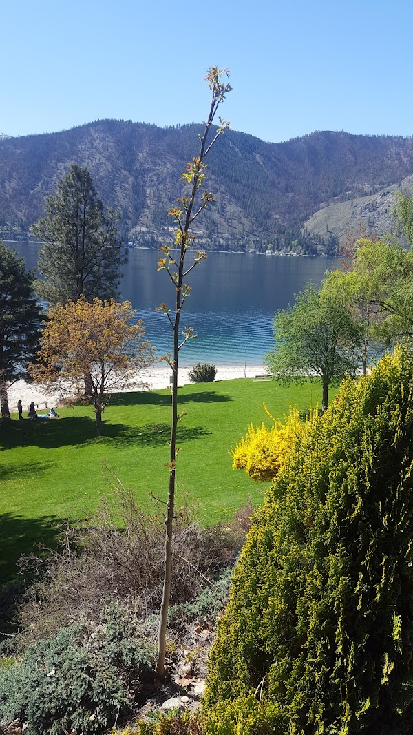 Chelan 5