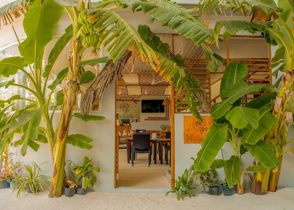 Dhiffushi Inn