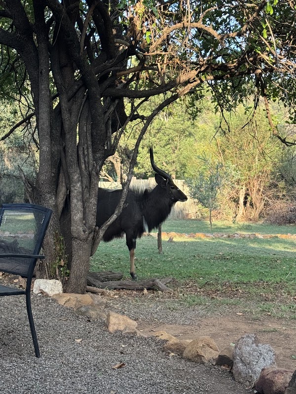 Elephant Lodge, Mabalingwe
