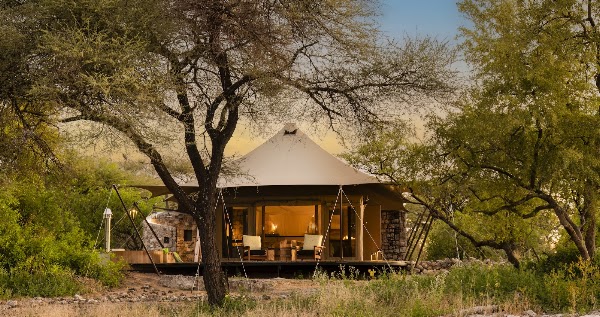 Africa 1