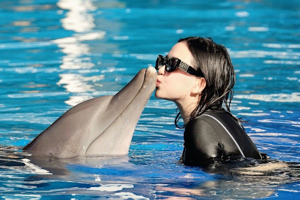 Bali Exotic Marine Park 5