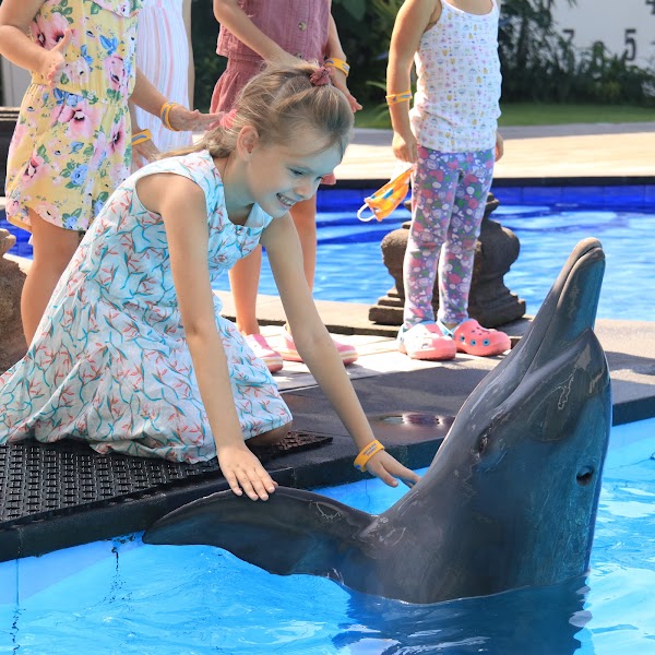 Bali Exotic Marine Park 4