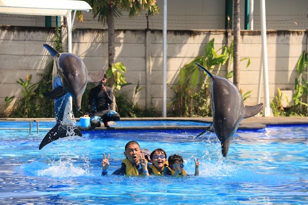 Bali Exotic Marine Park 3