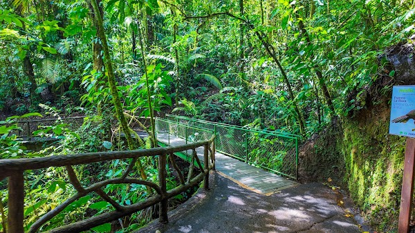 Místico Arenal Hanging Bridges 5