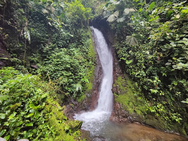 Místico Arenal Hanging Bridges 3
