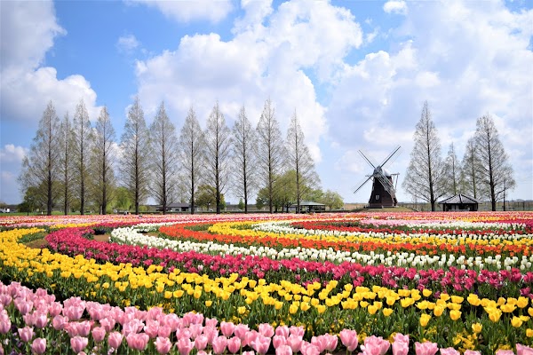 Akebonoyama Agriculture Park 1