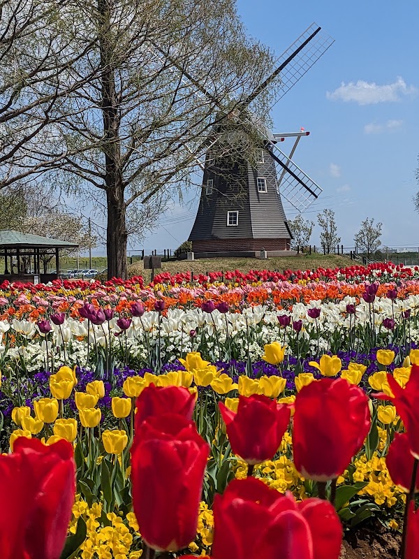 Akebonoyama Agriculture Park 5