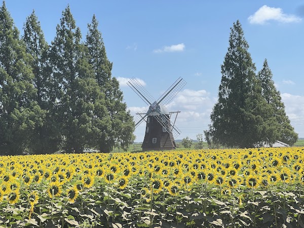 Akebonoyama Agriculture Park 4