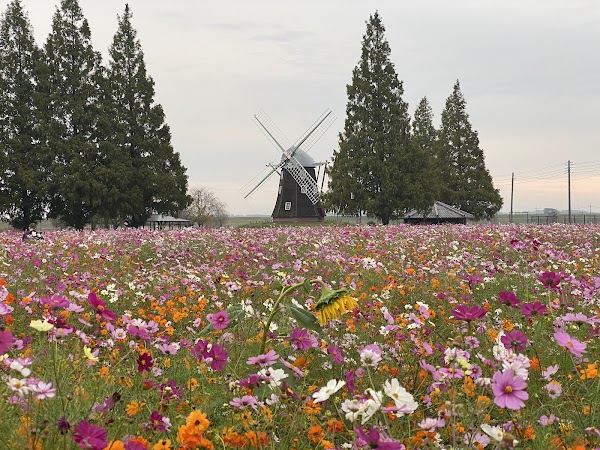Akebonoyama Agriculture Park 3