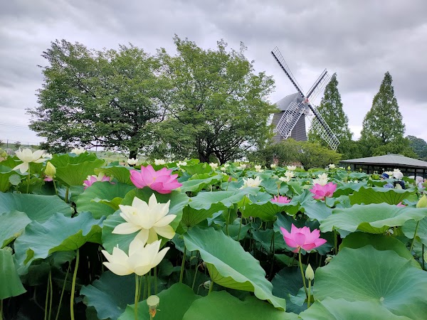 Akebonoyama Agriculture Park 2