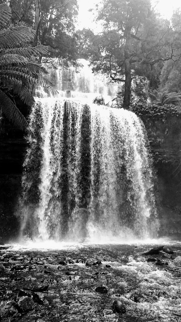 Russell Falls 2