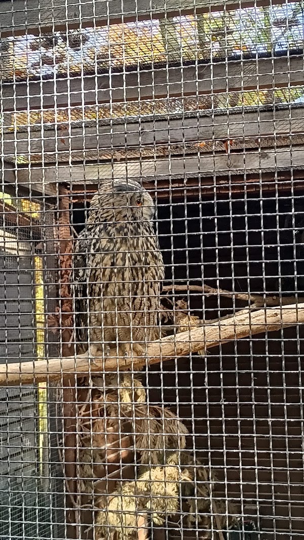 Malá Chuchle zoo 5