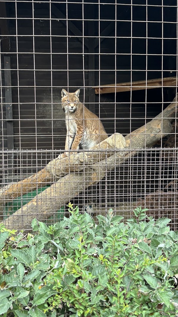 Malá Chuchle zoo 4
