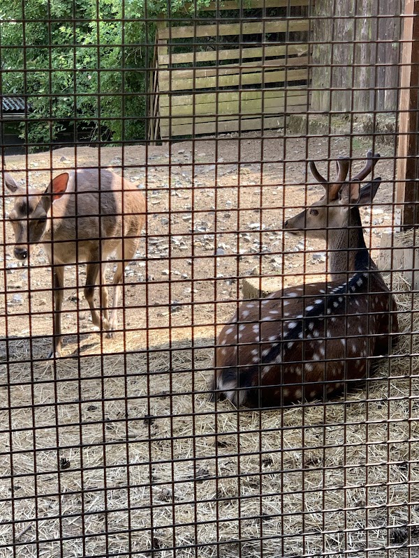 Malá Chuchle zoo 3