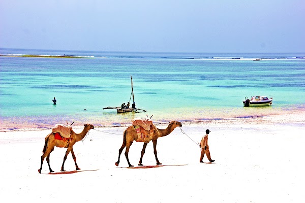 Diani Beach 4