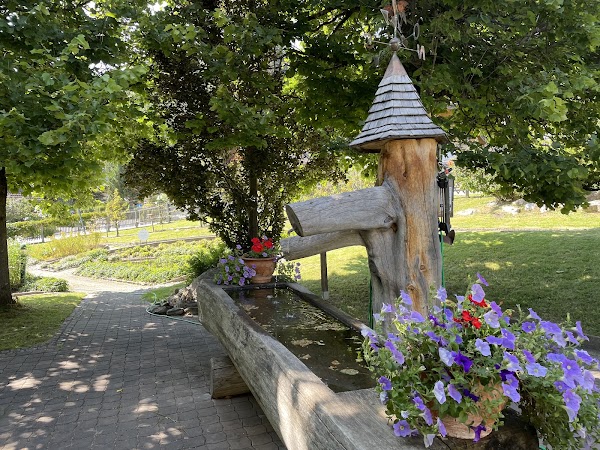 Alpenkräutergarten