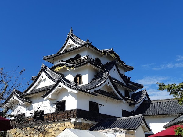 Japan 31