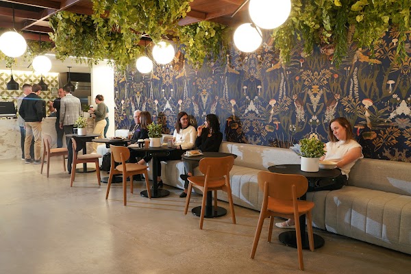 Cafe 295