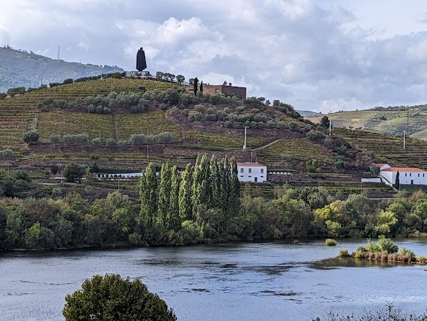 Pinhão