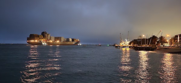 Nelson 5