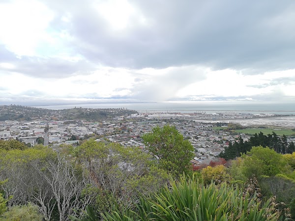 Nelson 3