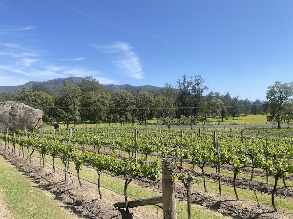 Winmark Wines & Winmark Art Gallery 3