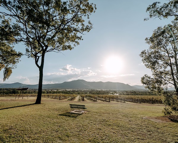 Winmark Wines & Winmark Art Gallery 2