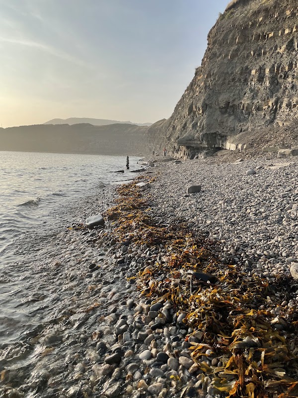 Kimmeridge Bay
