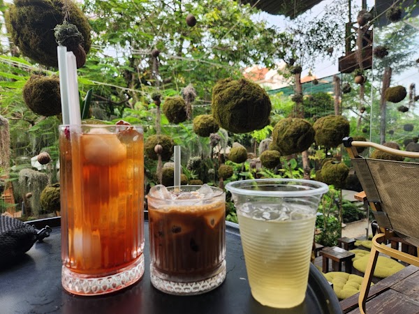 Tiệm cà phê Noọng Ơi 5