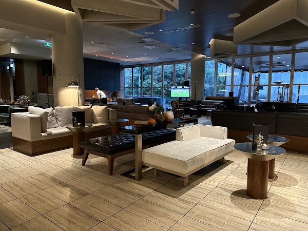 D/6 Bar & Lounge 1