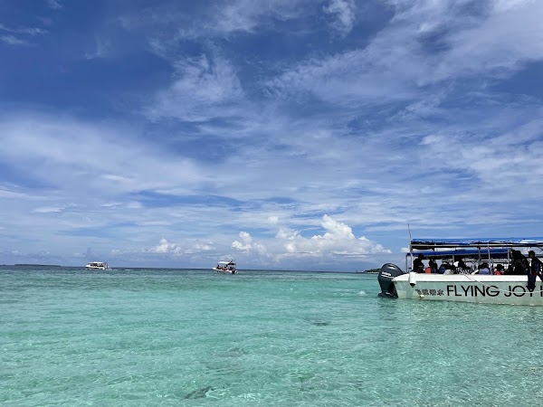 Timba Timba Island 3