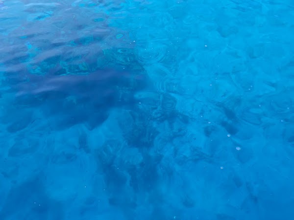 Timba Timba Island 2