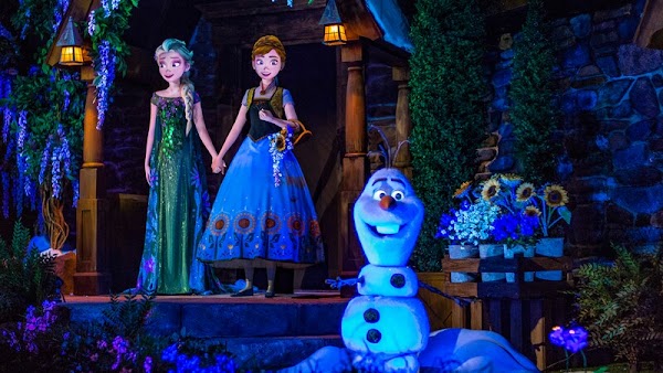 Frozen Ever After 5