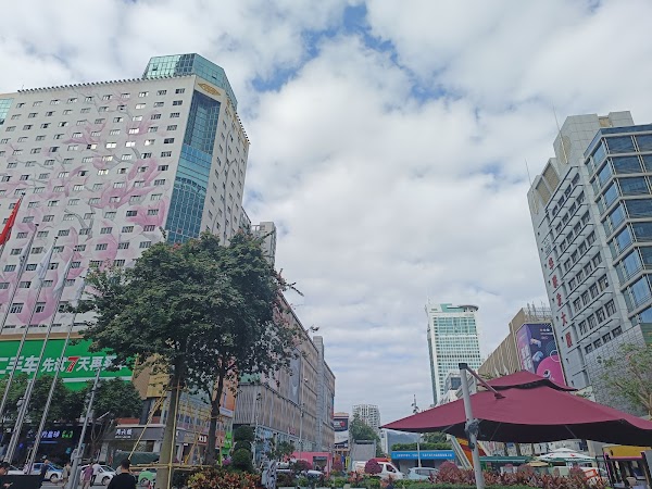 Huaqiangbei Commercial Street 3