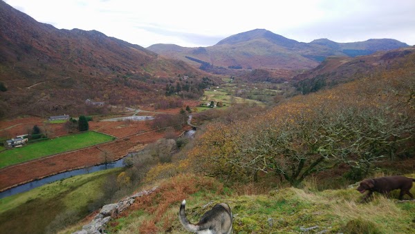 Dinas Emrys