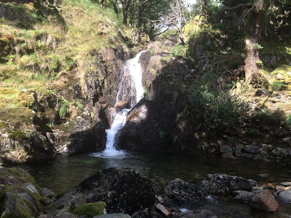 Dinas Emrys 5