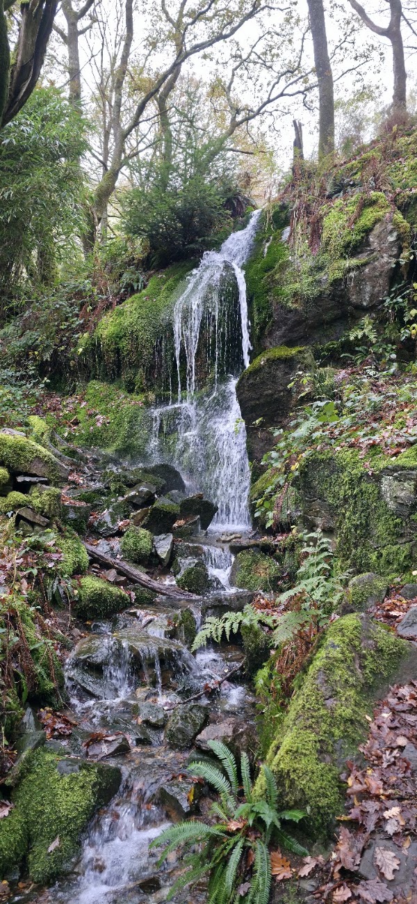 Dinas Emrys 3