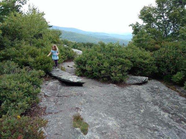 Beacon Heights Trail 5