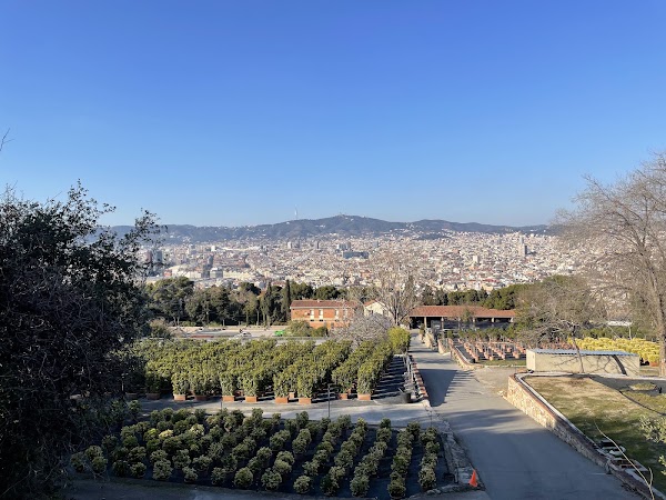 Parc Montjuïc 3