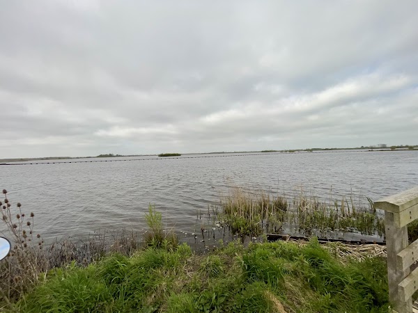 Dannemeer 1